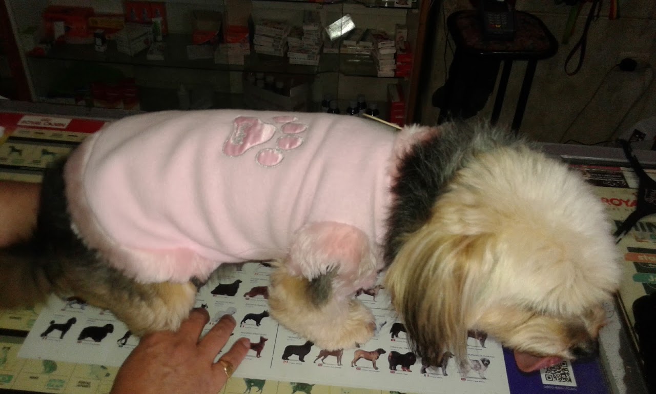 Atención en Veterinaria San Roque